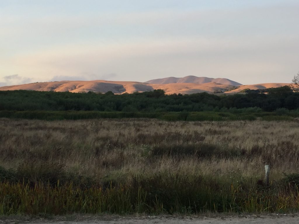 View from the campground at Point Reyes
