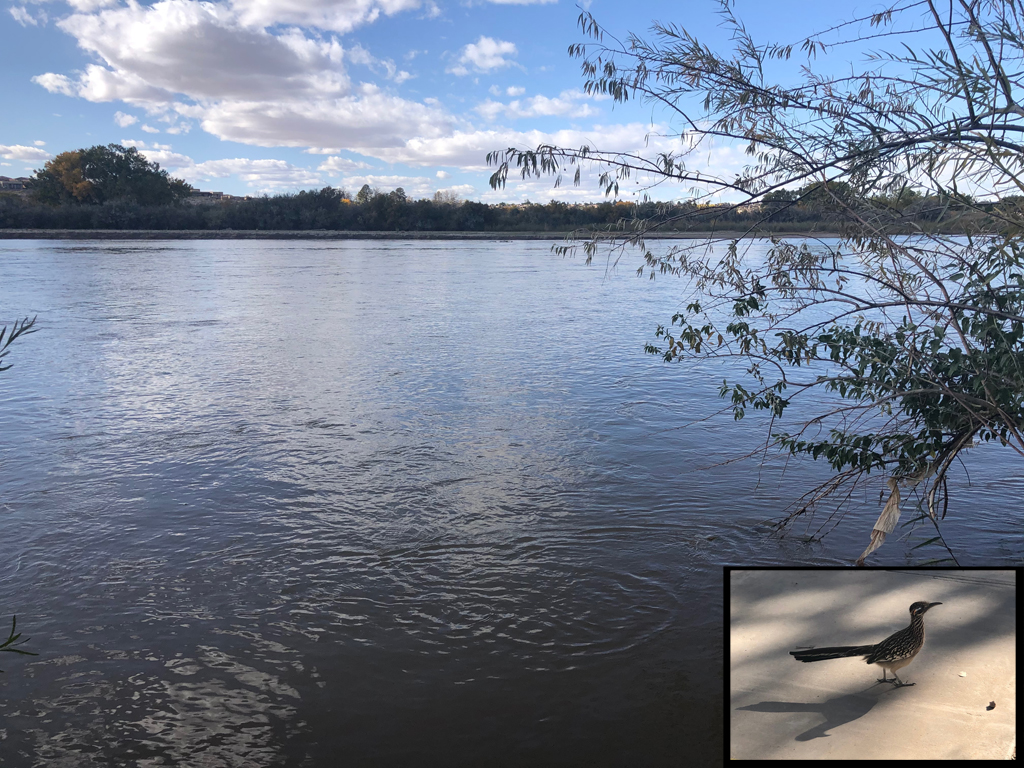 Picture of the Rio Grande river in Albuquerque. Inset shows a Road Runner bird.