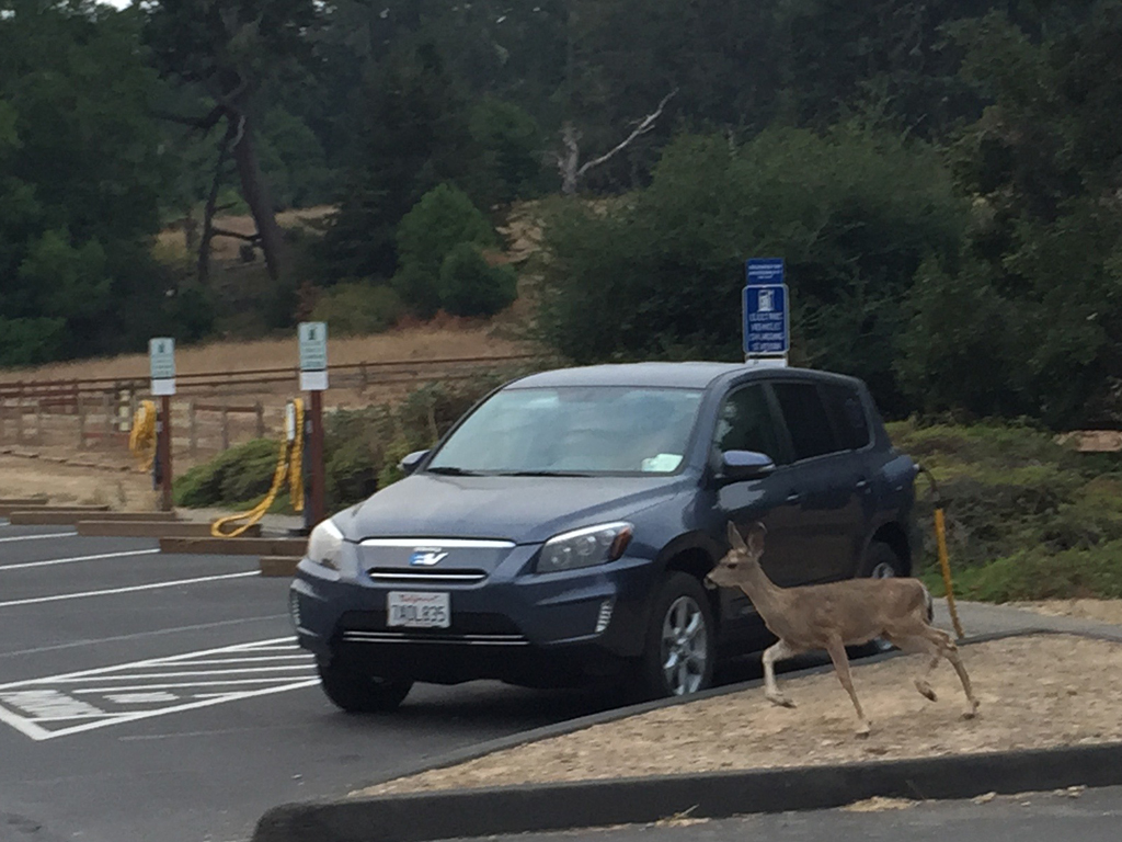 Charging at a campground.