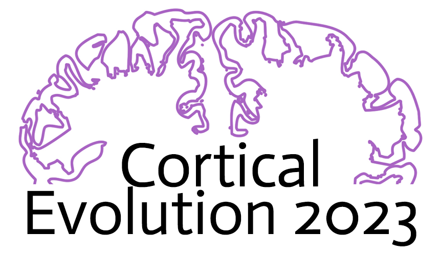 Cortical Evolution 2023
