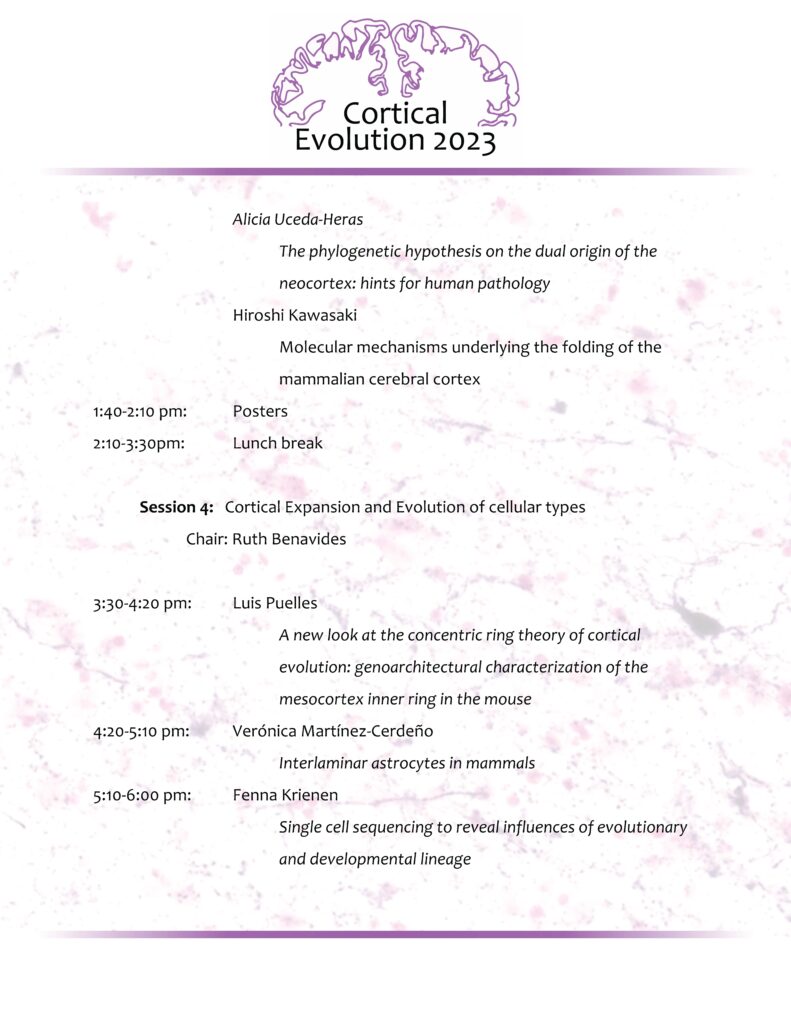 Agenda – Cortical Evolution 2023