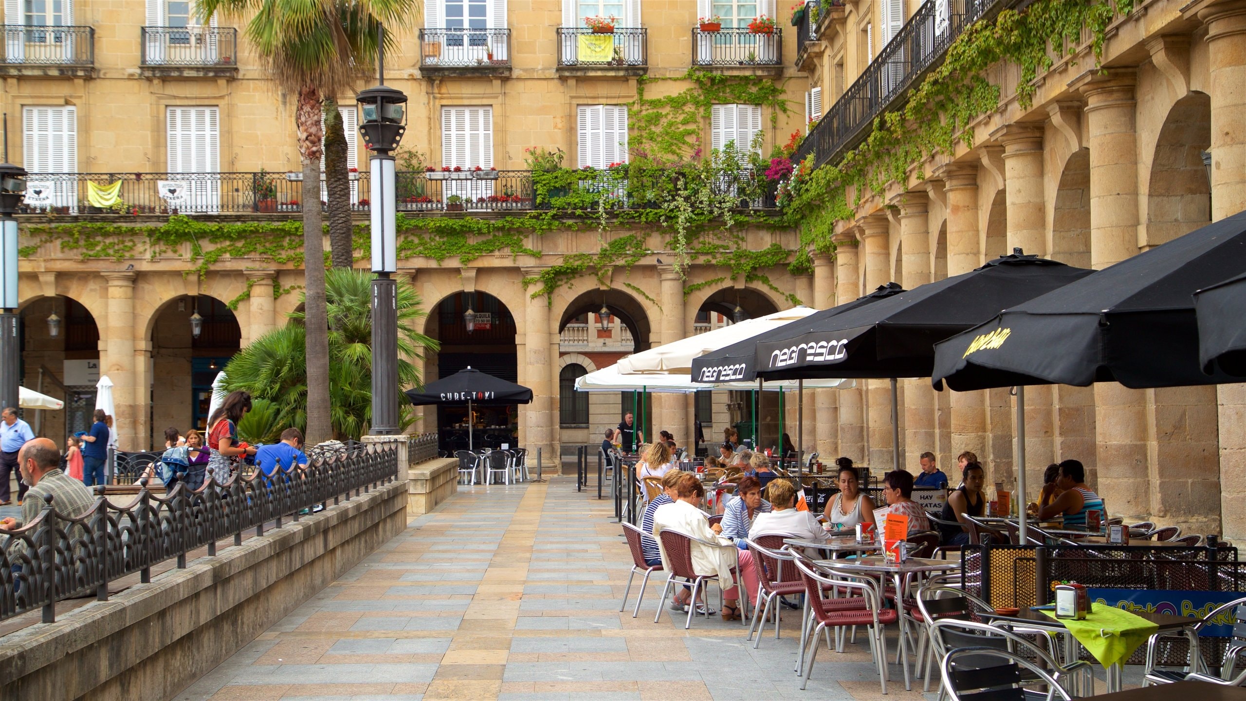 260335-Plaza-Nueva